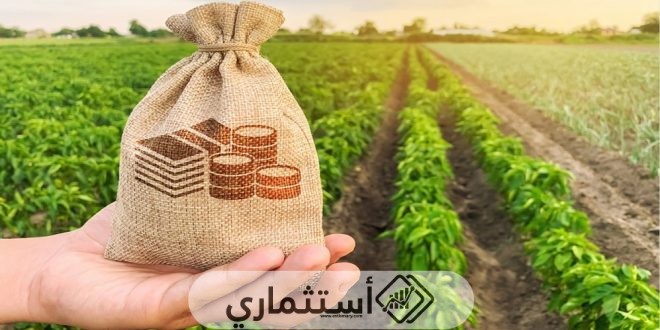 تشجيع الدولة للاستثمار الزراعي