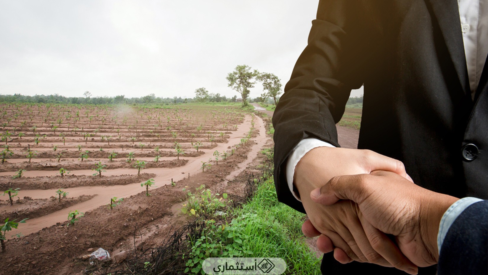عوامل نجاح البلدان في الاستثمار الزراعي