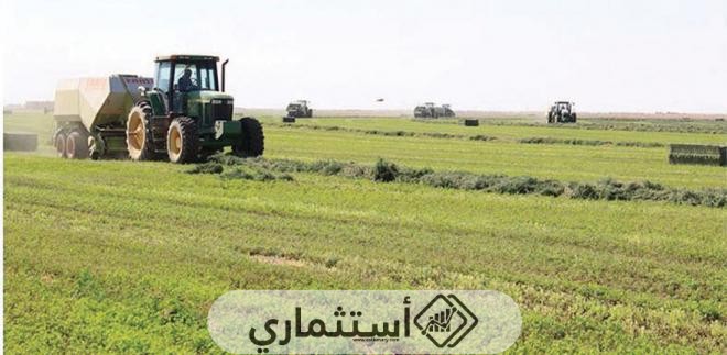 أفضل البلدان في أفريقيا للاستثمار الزراعي