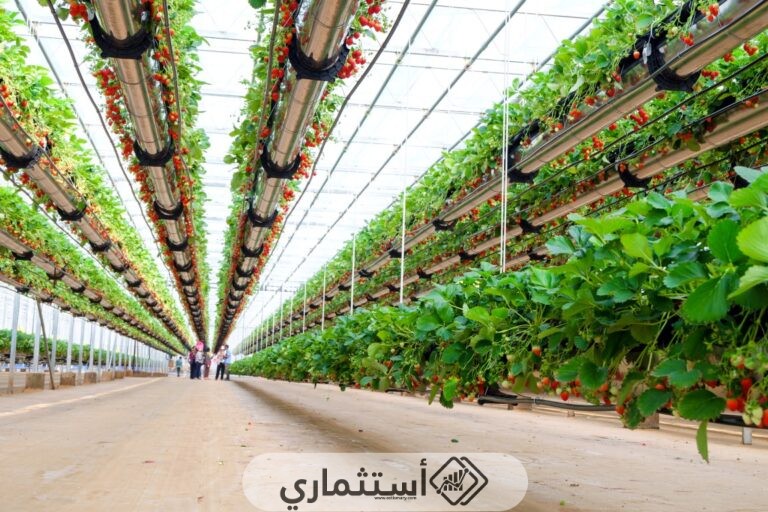 أفضل ولاية للاستثمار الزراعي في أمريكا