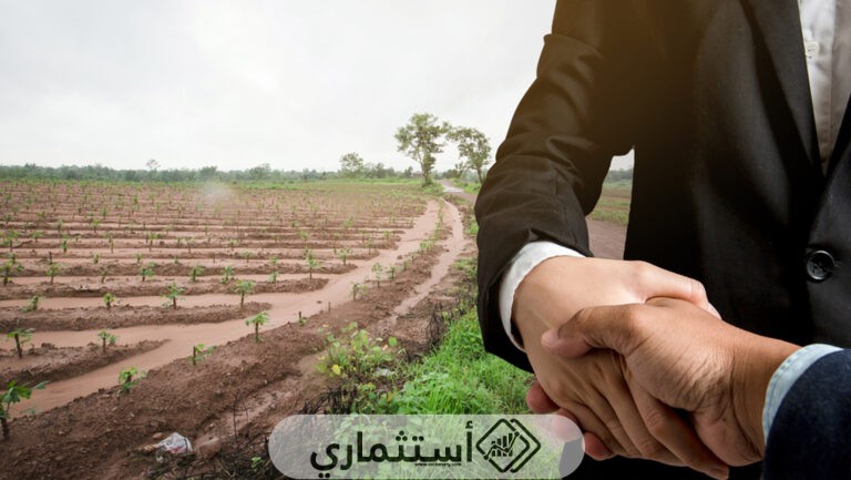 أنواع الاستثمار الزراعي في الوطن العربي