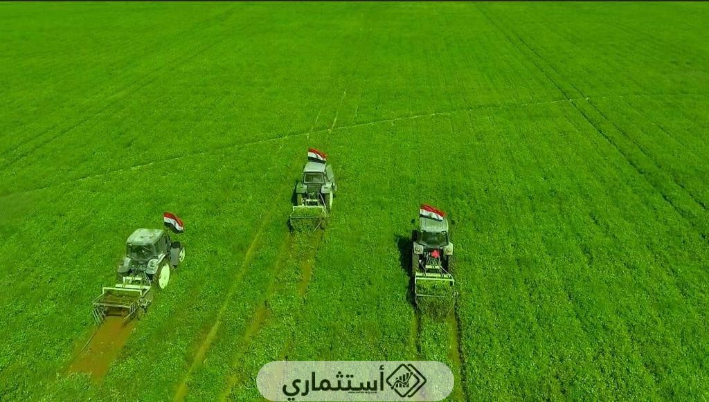 المعايير المساعدة لاختيار المشروع الزراعي