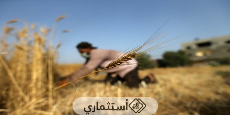 ما هي البلدان الناجحة في الاستثمار الزراعي
