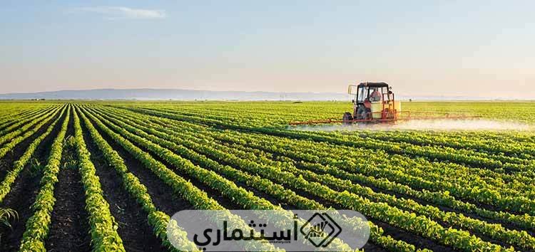 الاستثمار الزراعي في تركيا