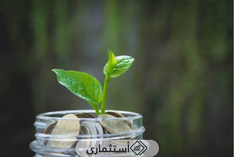 أهمية الزراعة