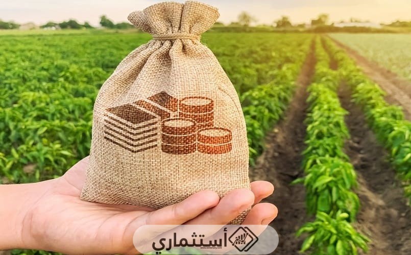 الاستثمار الزراعي