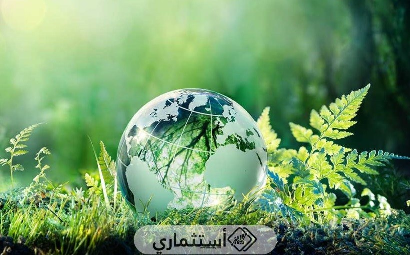 الاستثمار في القطاع الزراعي
