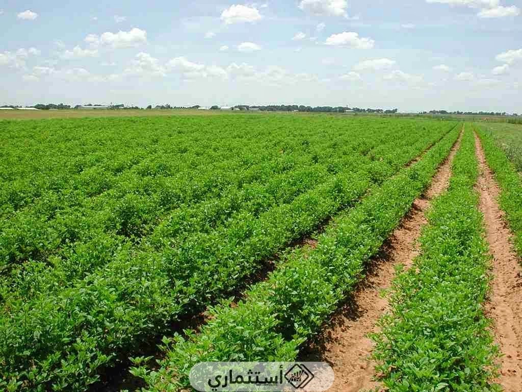 مميزات الاستثمار في تركيا