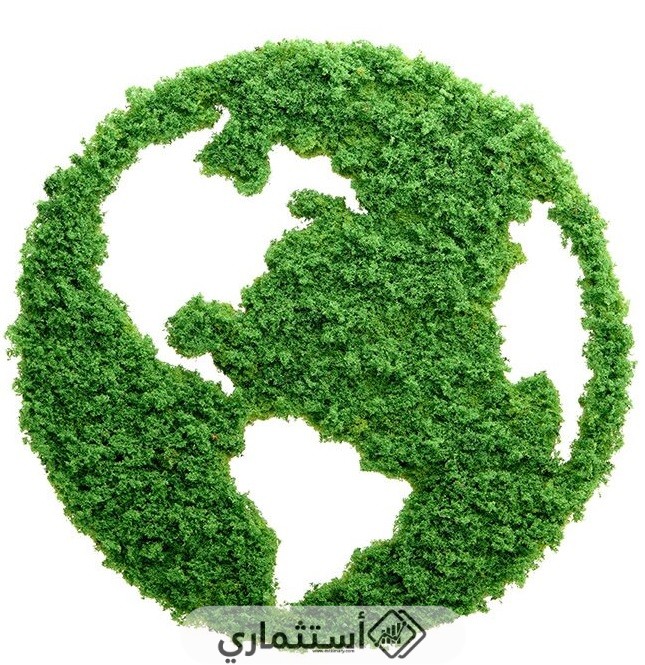 الزراعة وأهميتها